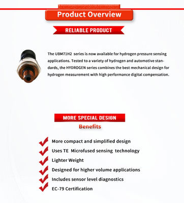 Customized Support ODM Pressure Sensor for UNIVO UBM71H2Y EC-79 TE Hydrogen Storage